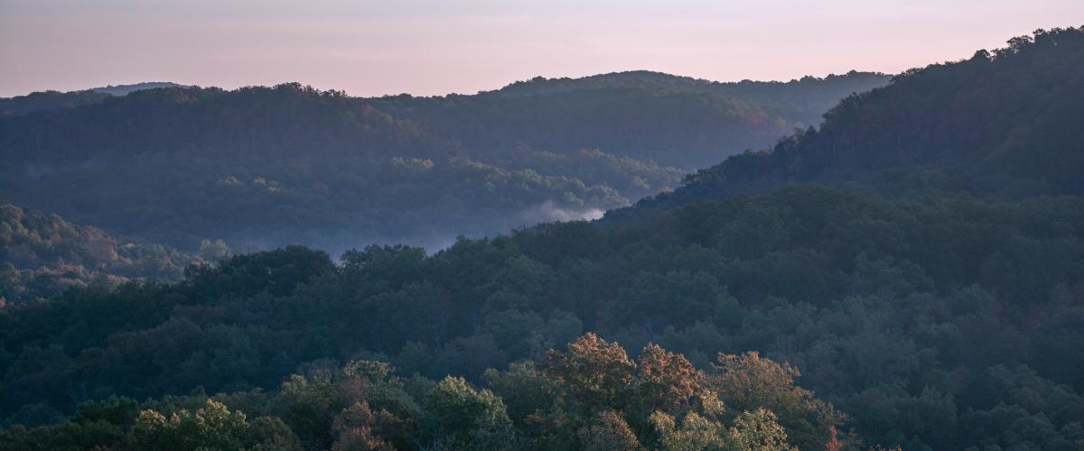 Kentuckyje vyras laimėjo 1,1 mln. JAV dolerių internetinės loterijos prizą medžiodamas elnius