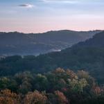 Kentuckyje vyras laimėjo 1,1 mln. JAV dolerių internetinės loterijos prizą medžiodamas elnius