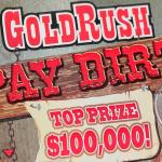 Tekso gyventojė laimėjo 100 000 dolerių su vyrui nusipirktu staigmenos Arkansas loterijos bilietu